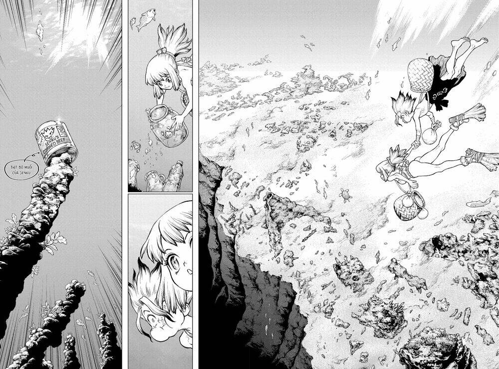 dr.stone - hồi sinh thế giới chapter 232.6 34