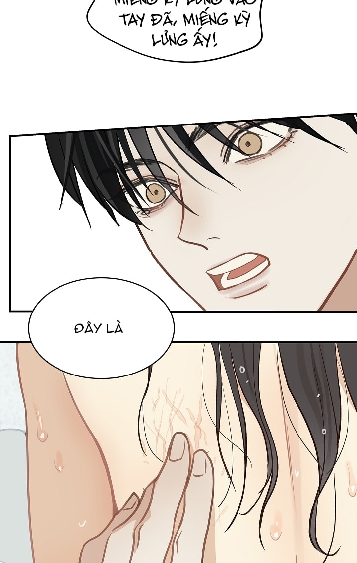 [18+] hoa là mồi nhử chapter 13.2 33