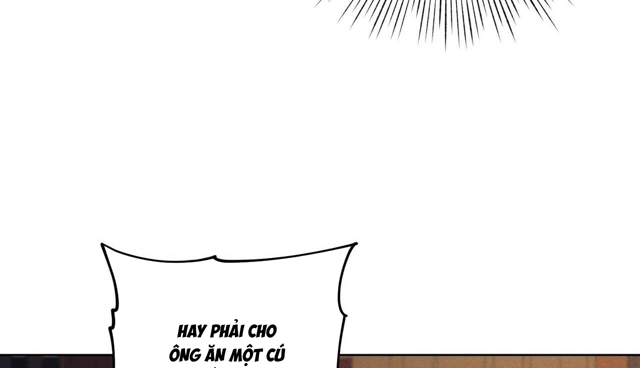 chàng dâu nhà họ kang chapter 11 79