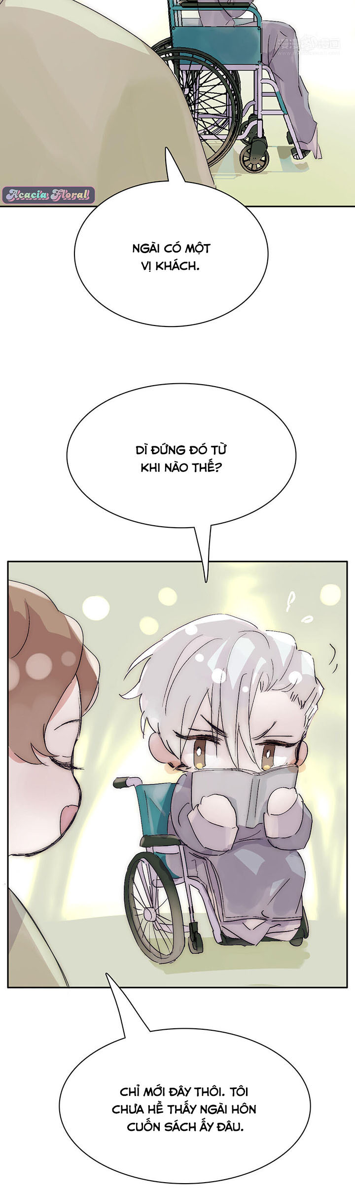 ngủ mê trong trang sách của tôi chapter 6 7