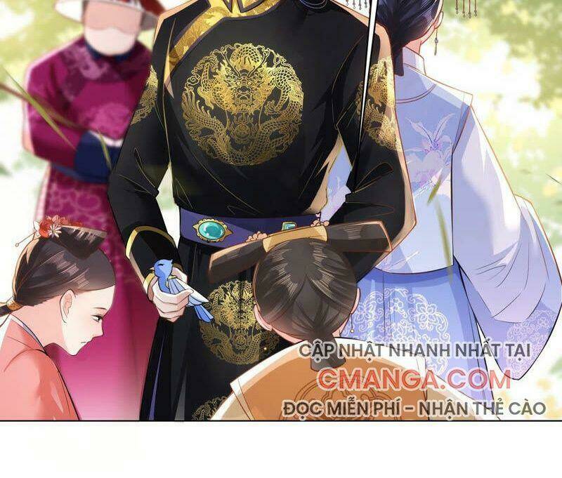 quận chúa vững vàng, thiết lập nhân vật không thể vỡ chapter 44 42