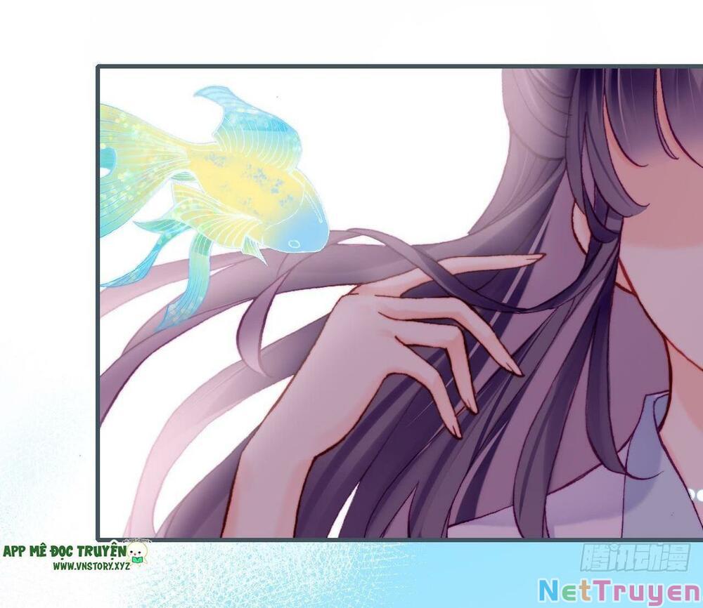 lại bị bệnh chiều chuộng quấn lấy chapter 81 66