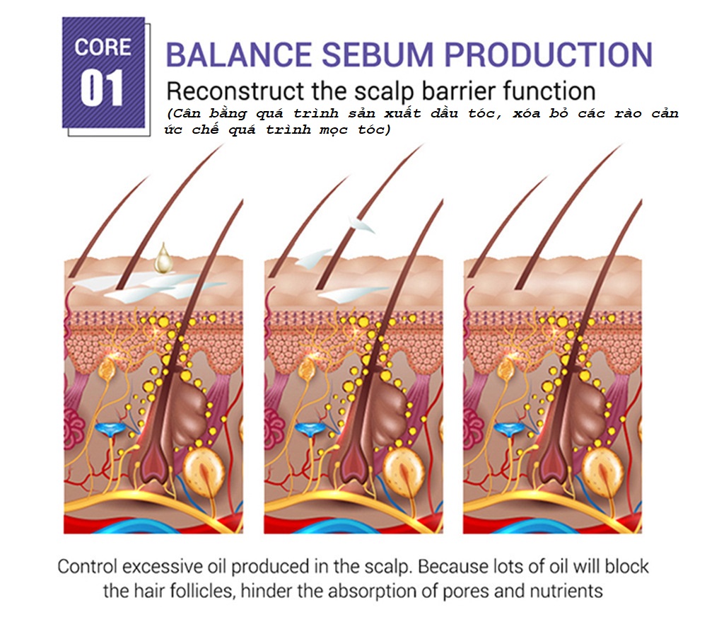 Serum mọc tóc, chống hói, chống rụng, chống gãy tóc, thành phần tự nhiên an toàn và tiện dụng