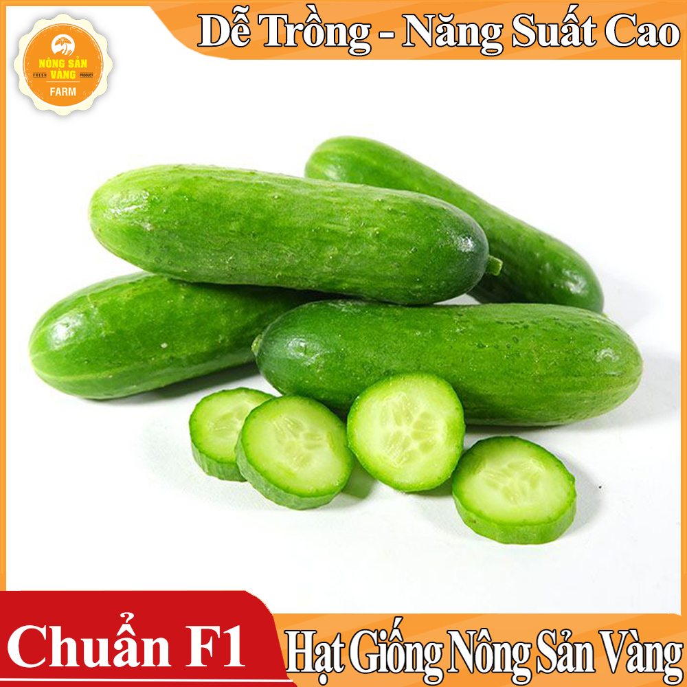 Hạt giống Dưa Leo ( Gói 25 hạt ) - Nông Sản Vàng