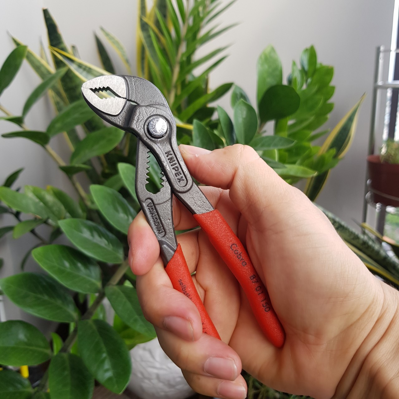 Kìm Nước Cobra Mini KNIPEX - 87 01 150