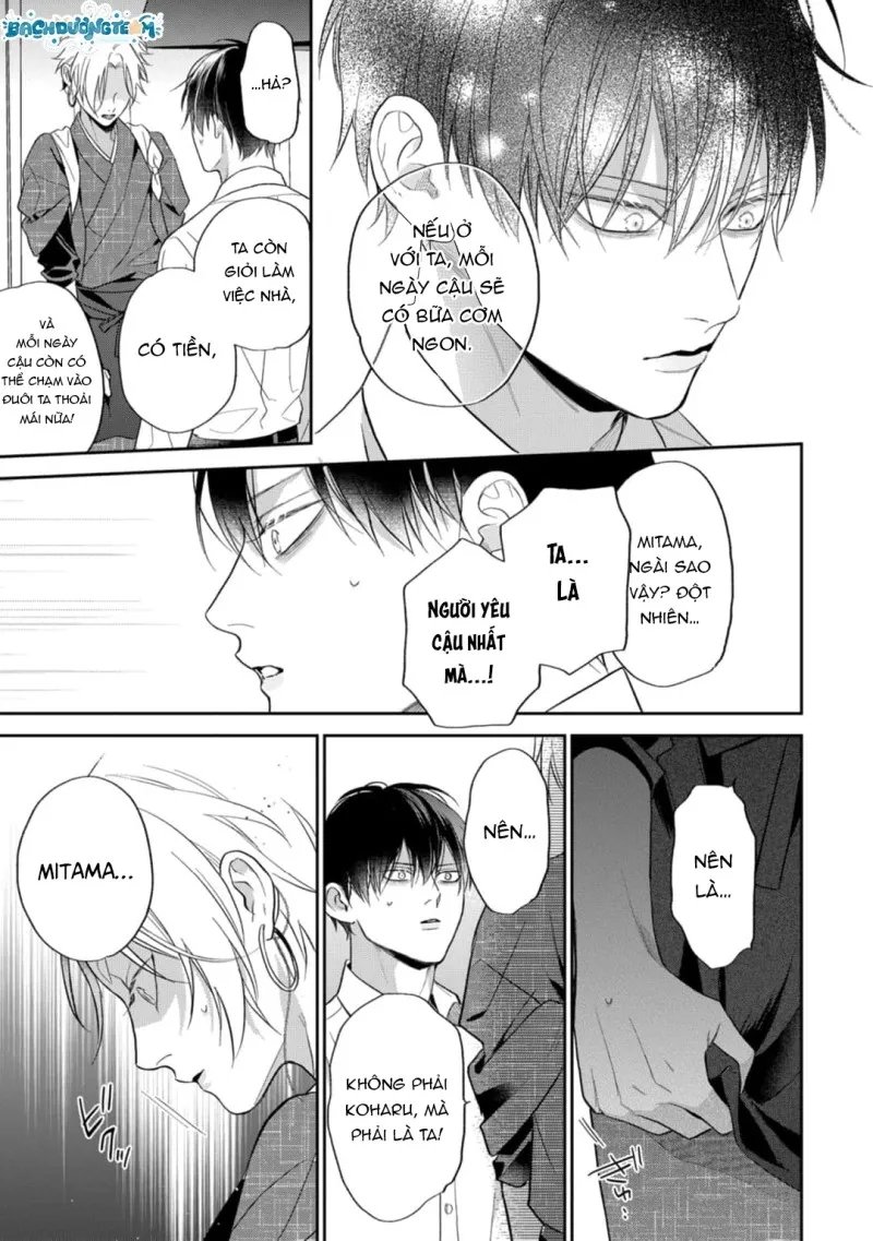 đặc ân của yêu hồ chapter 5 31