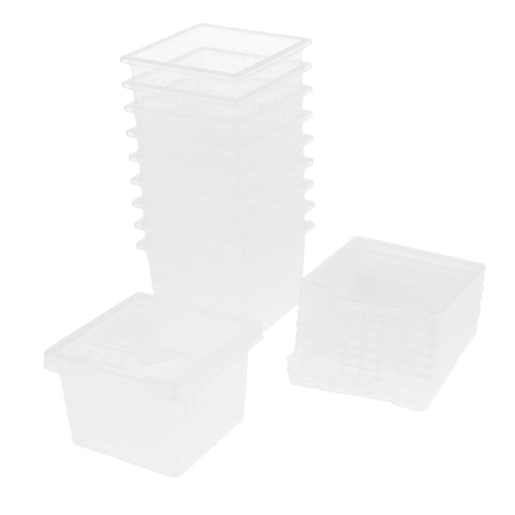 Set of 40 Clear Reptile Spider Lizard Scorpion Breeding Box Container Cage