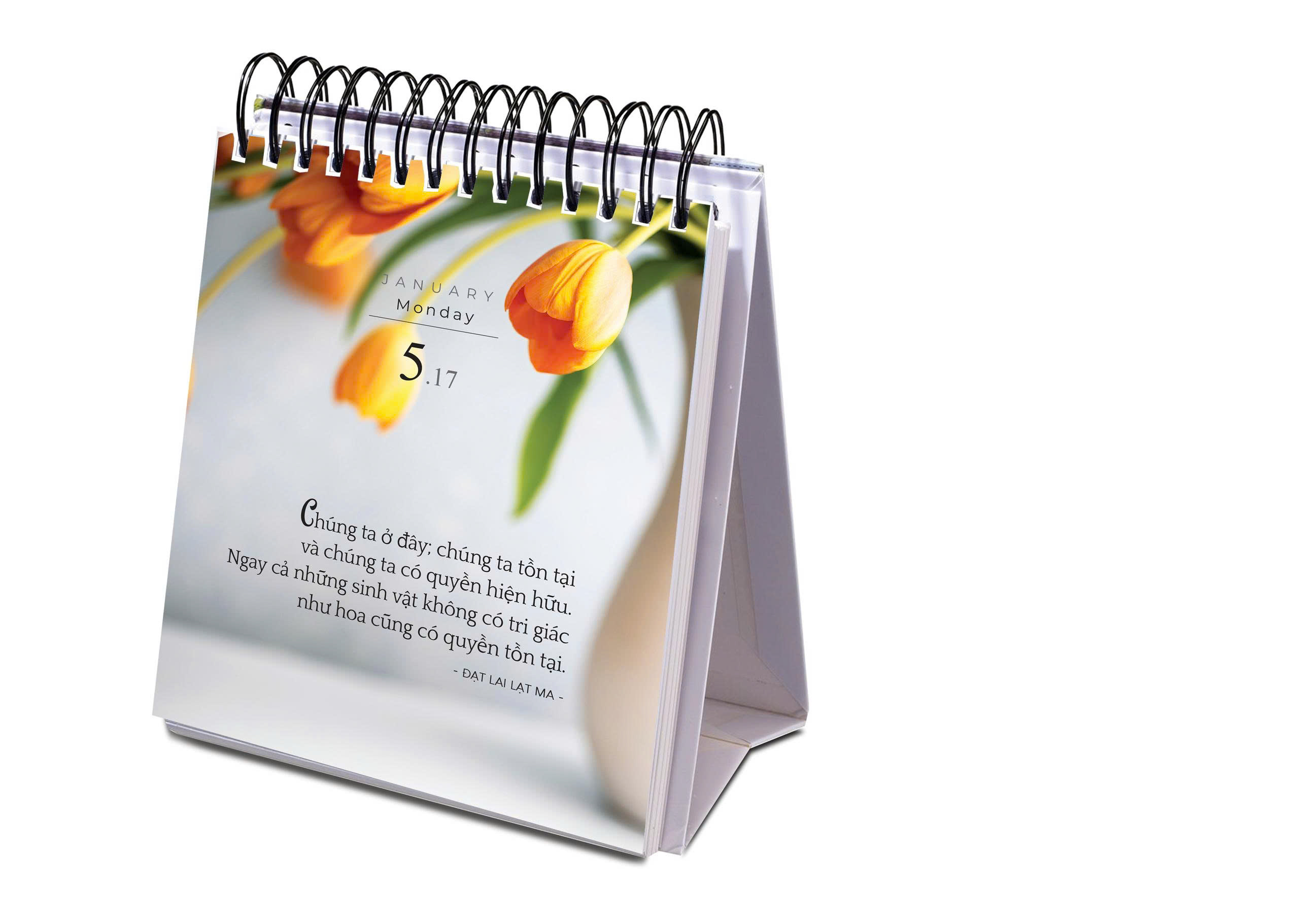 LỊCH BÀN BÍNH NGỌ 2026: VƯỜN TÂM TỈNH THỨC - Phanbook