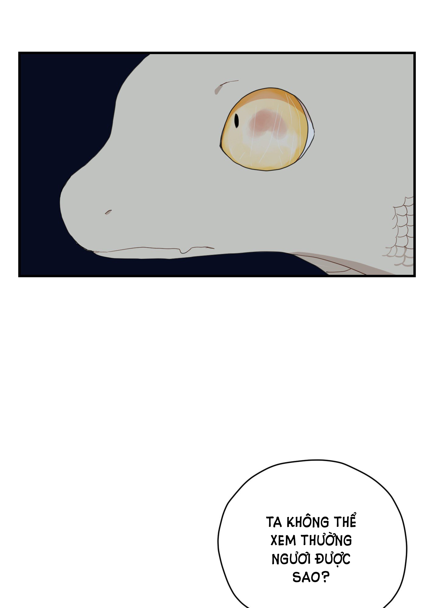 [18+] con đường hoa chuông vàng - liên kiều rơi chốn này chapter 3.1 11