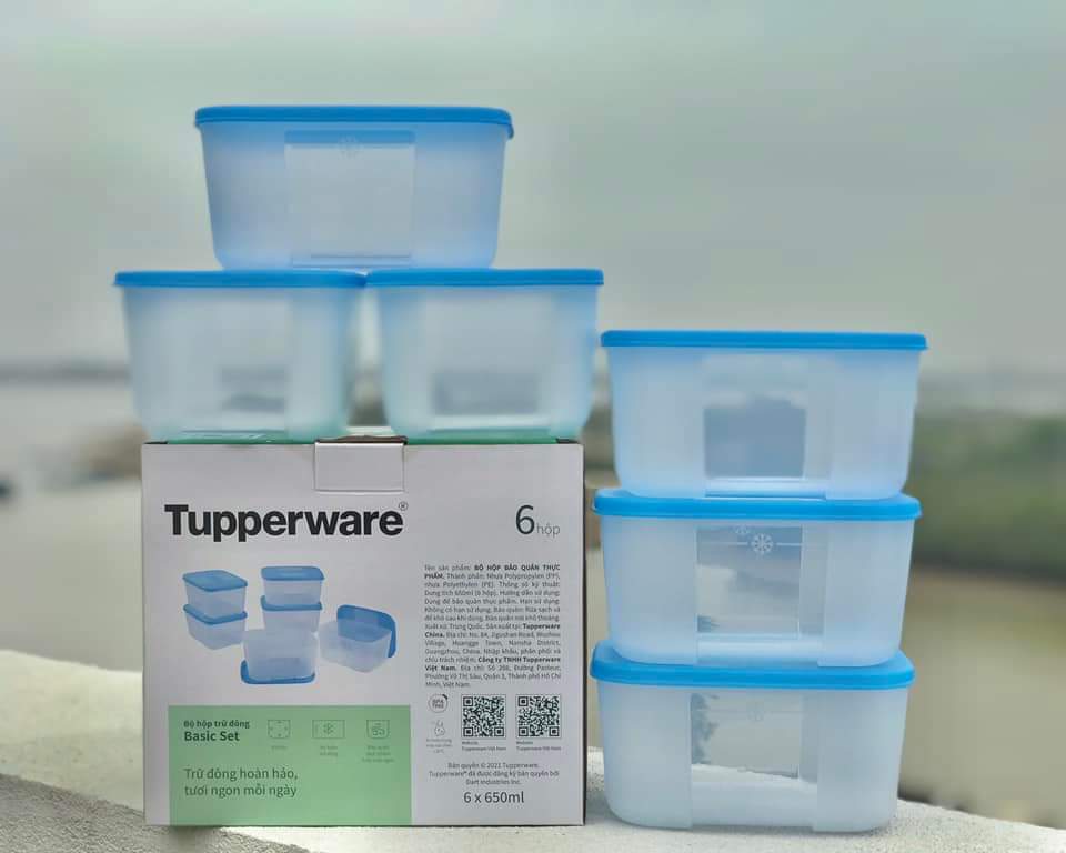 Bộ Hộp Trữ Đông Tupperware Freezermate Basic 650ml (6 Hộp)