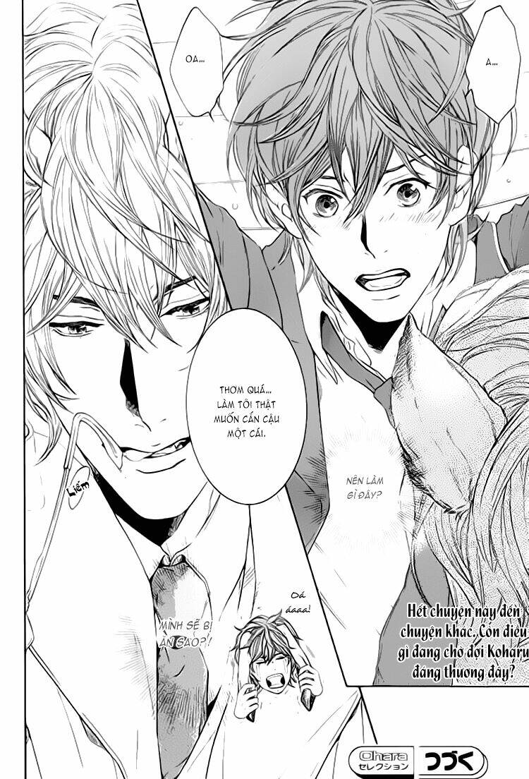 oinarisama no honey bunny chapter 1 34