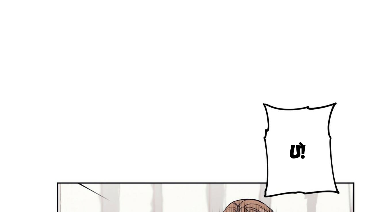 chàng dâu nhà họ kang chapter 14 85