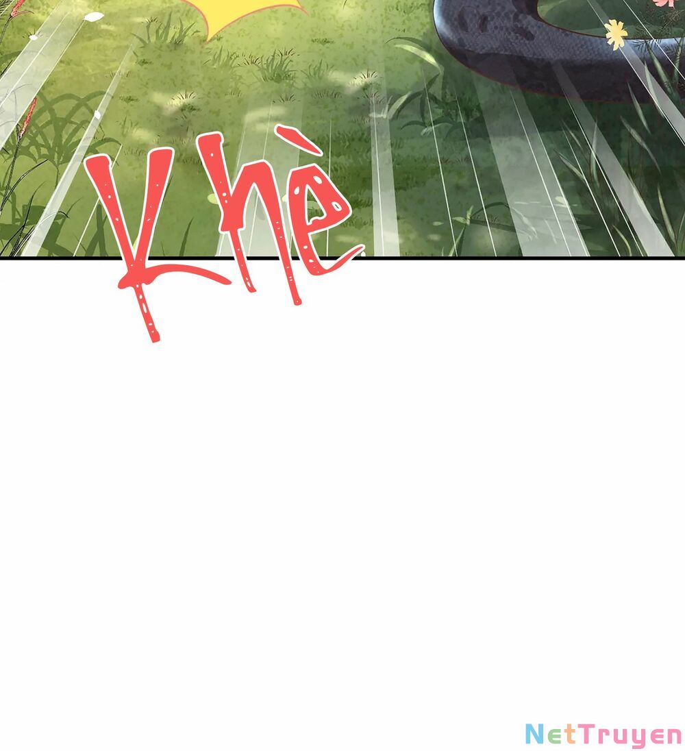 chàng vú em tu chân chapter 75 55