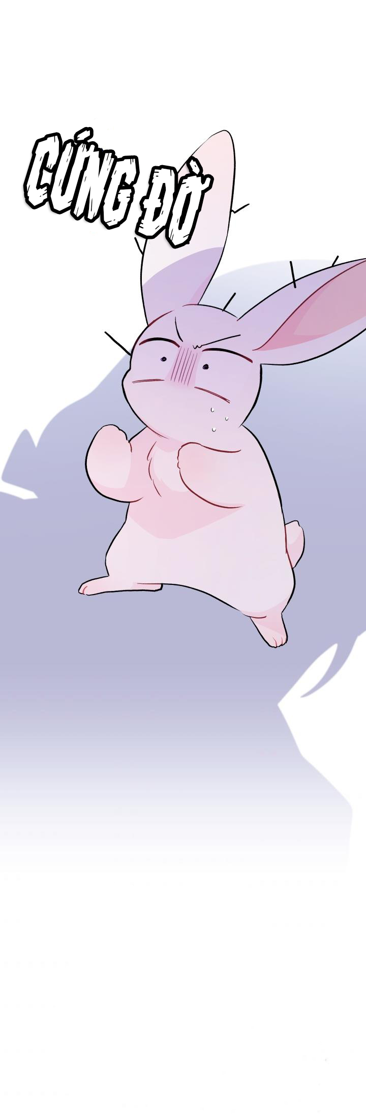 mối liên kết giữa báo đen và bé thỏ chapter 25 28