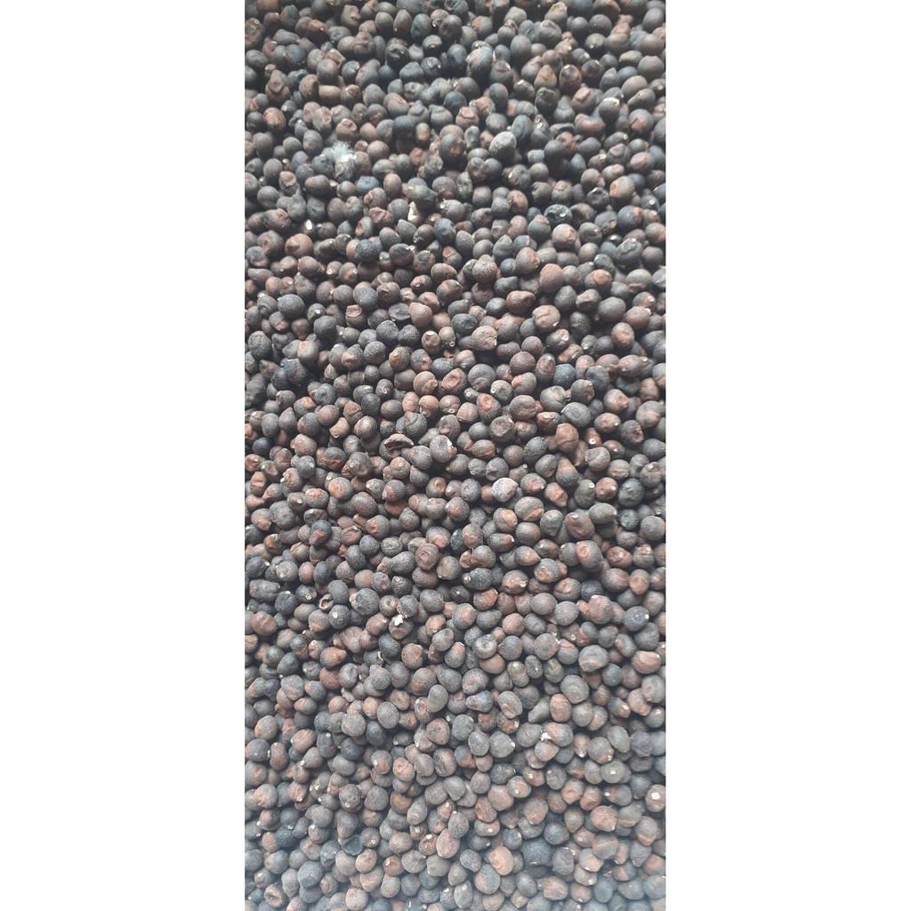200gram hạt bông gòn giống