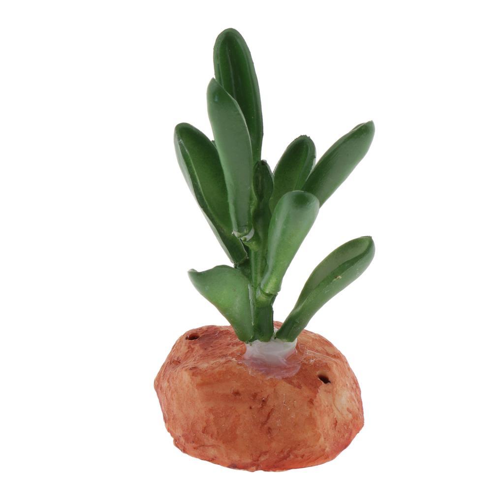Aquarium Fish Tank Ornaments Plants Succulents Reptile Hideaway Decoration