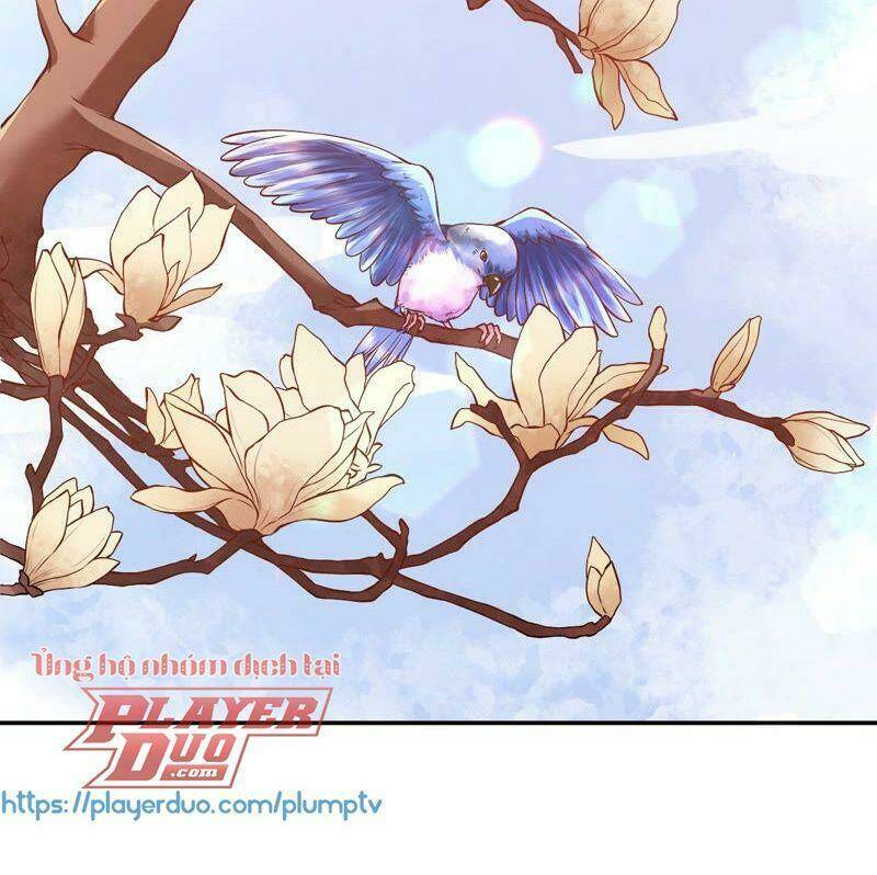 quận chúa vững vàng, thiết lập nhân vật không thể vỡ chapter 3 51