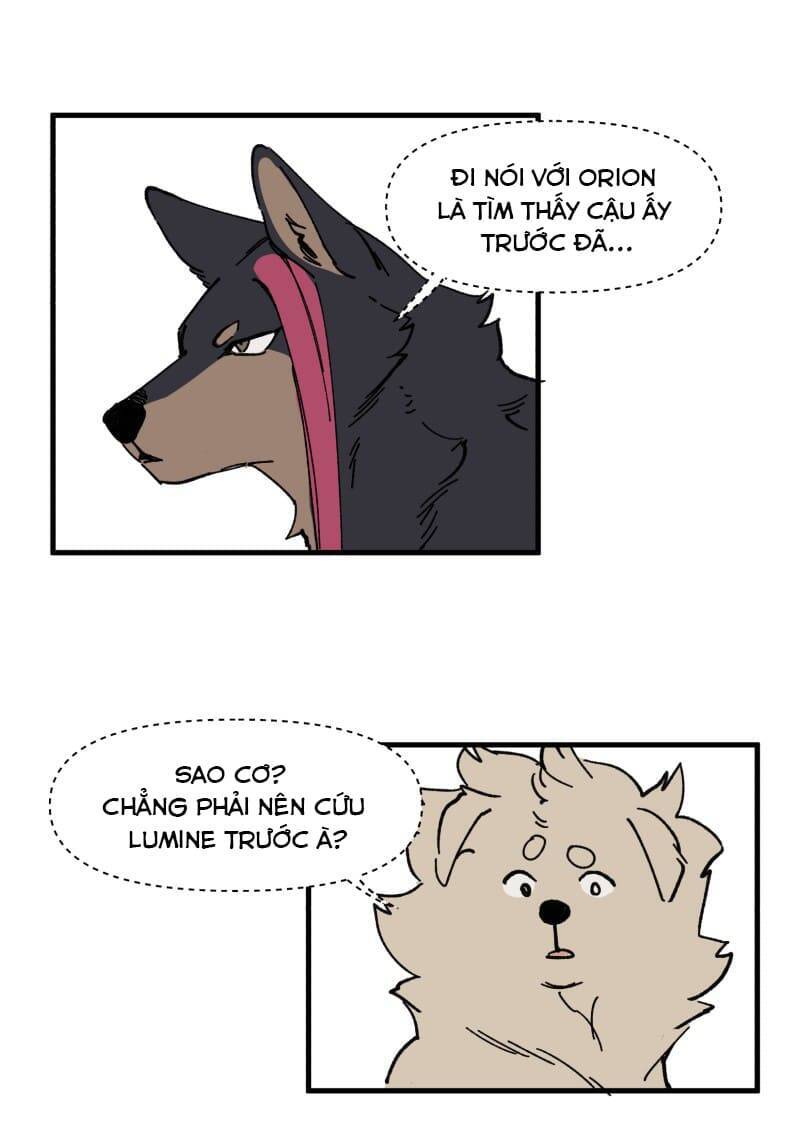 lumine - cội nguồn ánh sáng chapter 149 21
