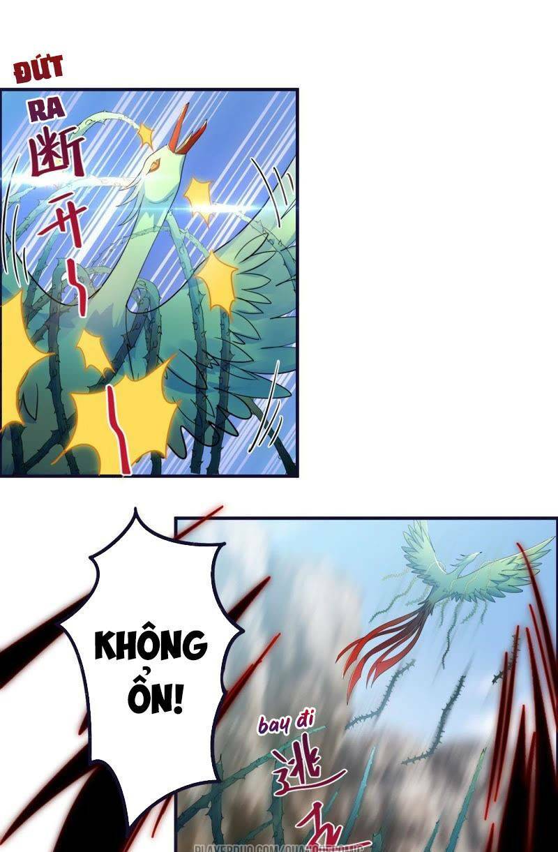 tối cường quang hoàn hệ thống chapter 34 1