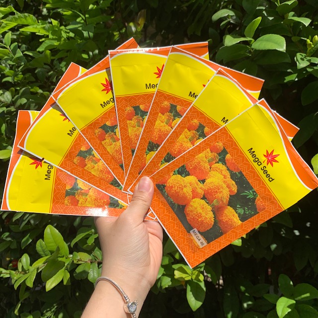 MEGASEED I Hạt giống Vạn Thọ Thái Mega 46 cam đỏ