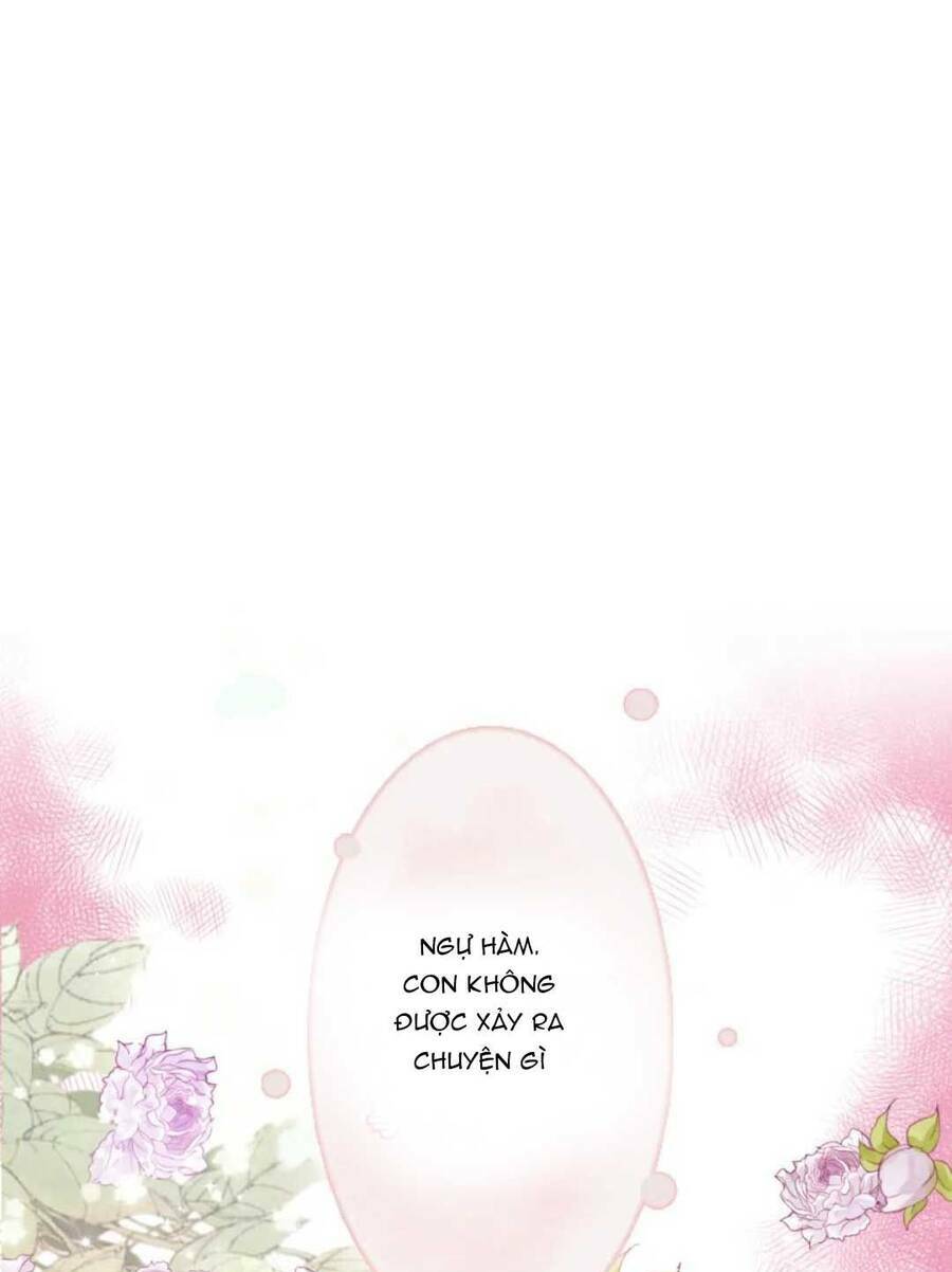 cô vợ hợp đồng bỏ trốn của tổng giám đốc chapter 489 52