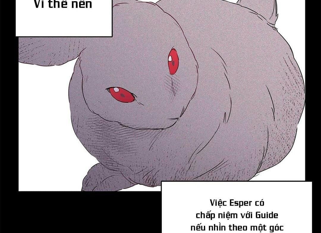 guide cấp b chapter 13 80