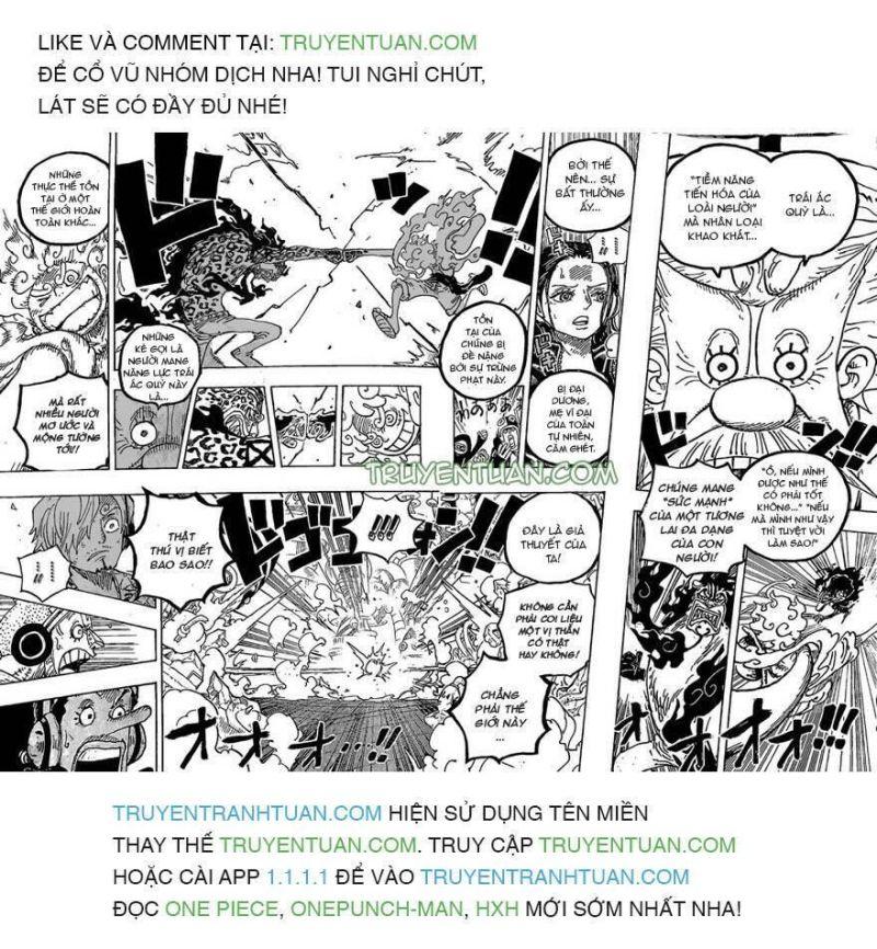 đảo hải tặc - one piece chapter 1069 9