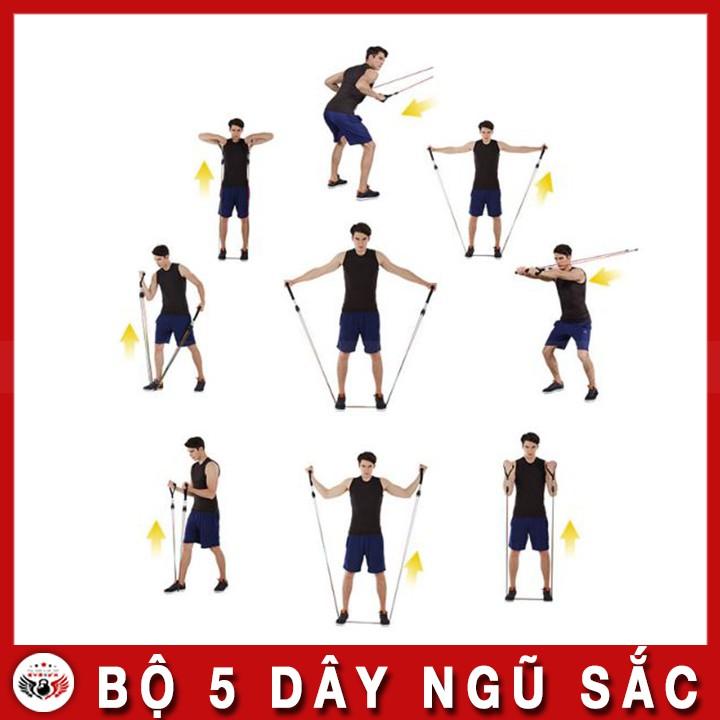 Bộ 5 Dây Ngũ Sắc Tập Gym - Full Body