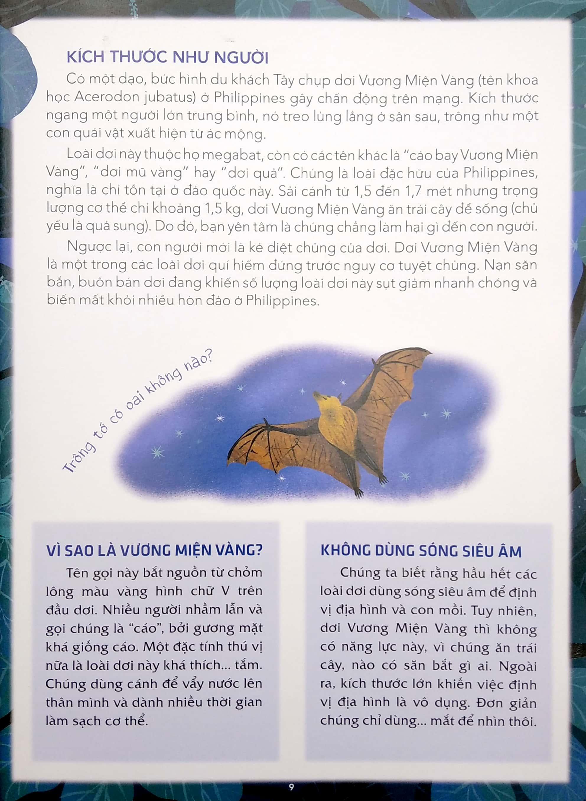 Những Loài Vật Kì Lạ Nhất Quả Đất