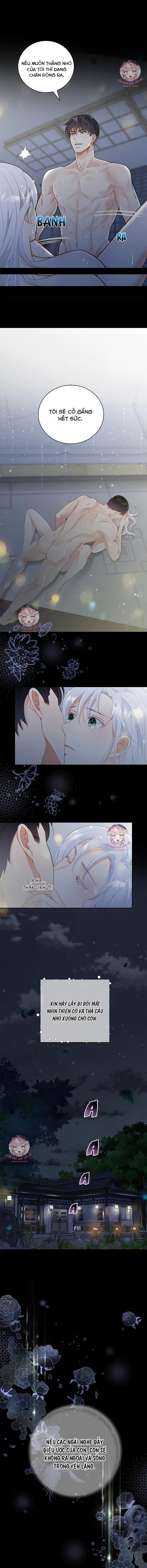 hôn nhân bị đánh cắp của hồ ly chapter 1 11