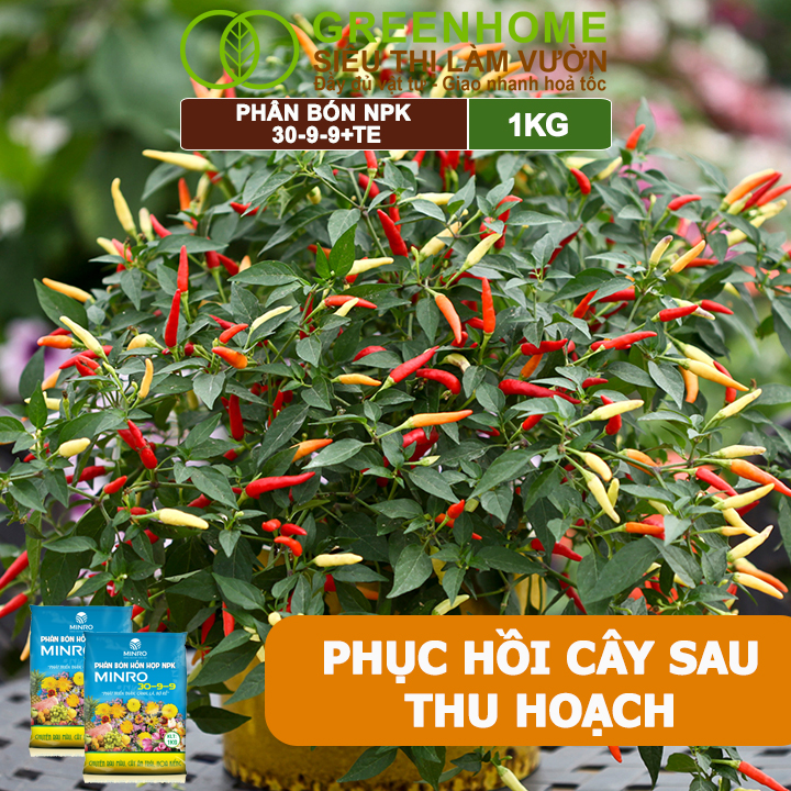 Phân NPK 30-9-9 +TE Greenhome, Minro, Bao 1Kg, Phát Triển Nhanh Thân, Cành, Lá, Bộ Rễ