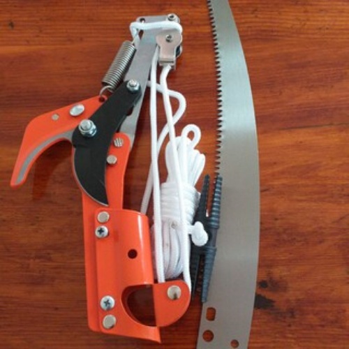 Đầu kéo tỉa cành, cắt cành cây trên cao,hái quả ,kết hợp cưa cành – Tặng đôi găng tay làm vườn chuyên dụng