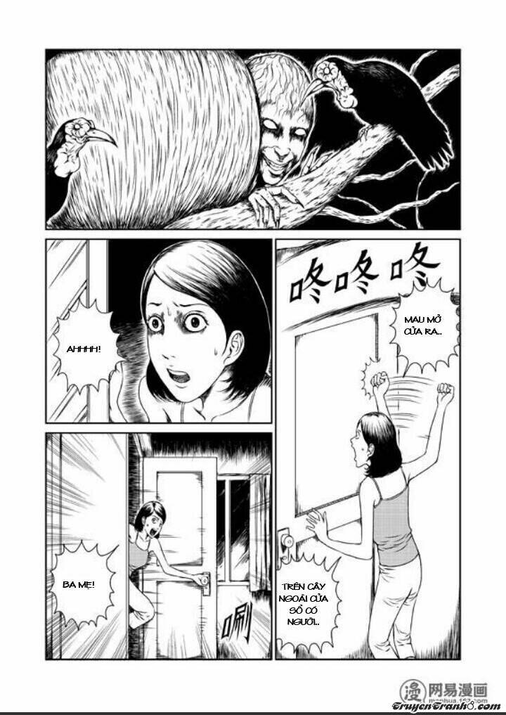 tổ chim chapter 1 11