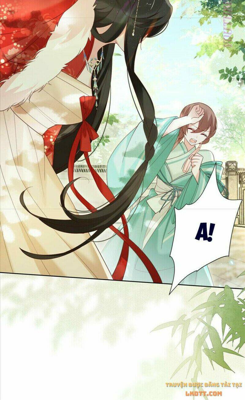 hắc hóa nam chính trực tuyến nuôi thỏ chapter 65 12