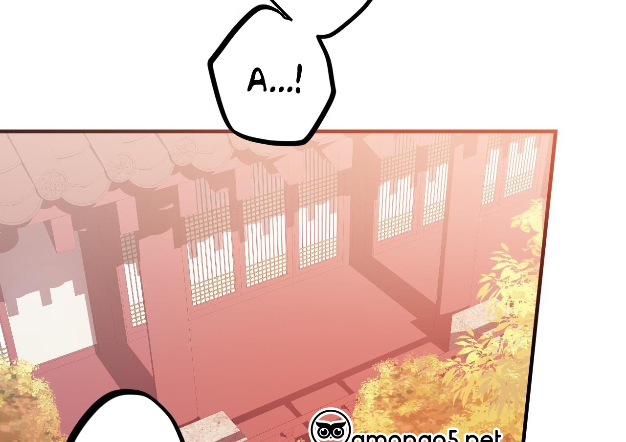 đàn thỏ của habibi chapter 63 124