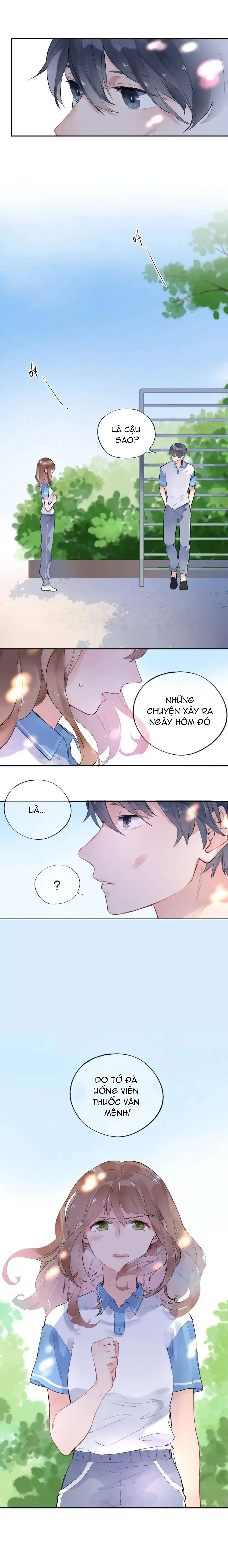 dolo vận mệnh giao nang chapter 6 13