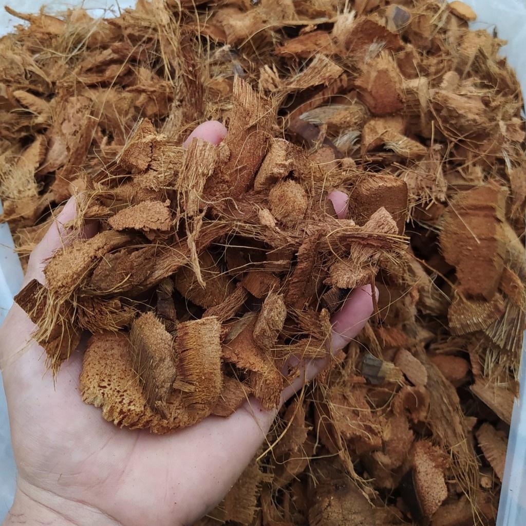 GIÁ THỂ VỎ DỪA KHÔ TRỒNG LAN - ĐÃ QUA XỬ LÝ