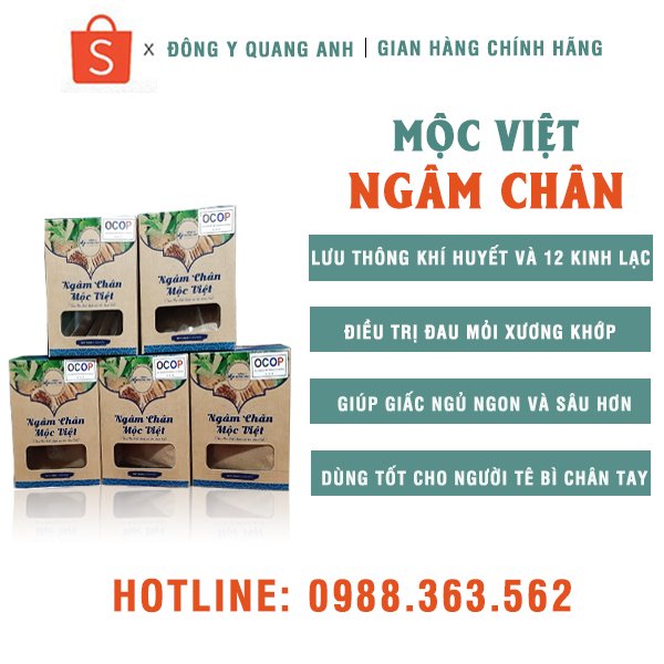 NGÂM CHÂN MỘC VIỆT