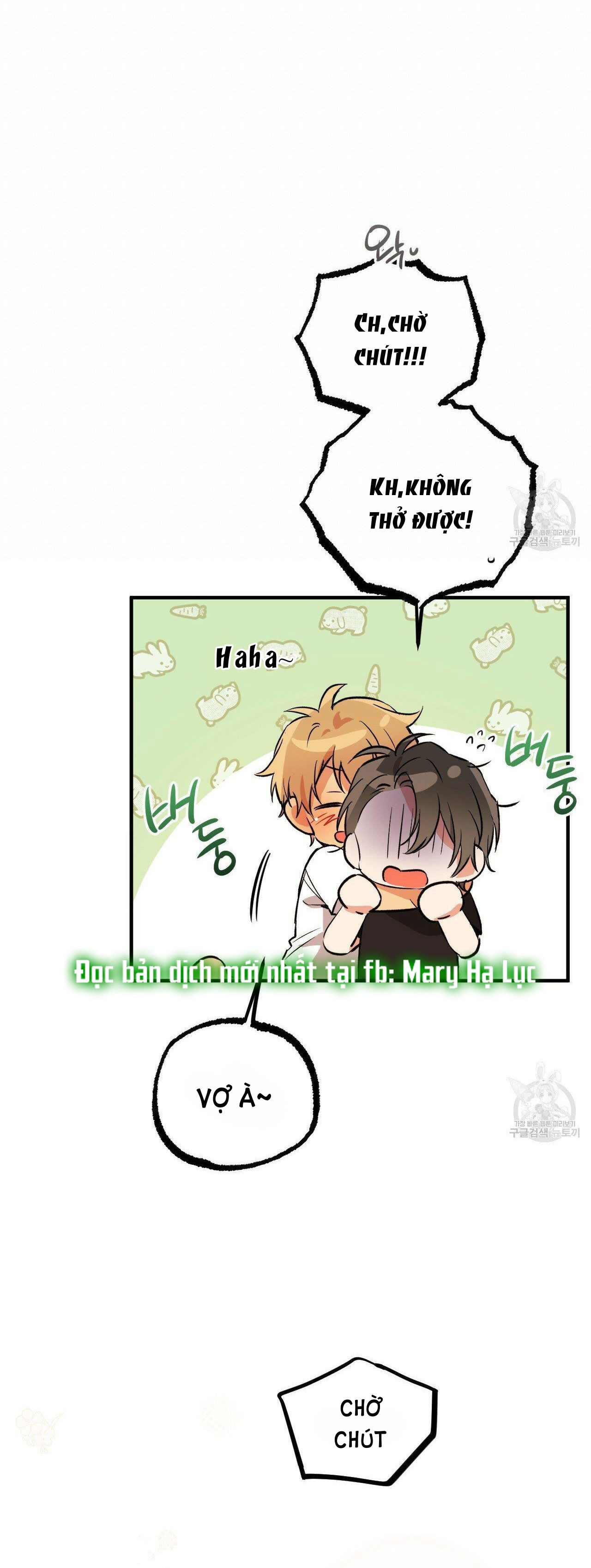 những chú thỏ của hapypy chapter 53.2 6