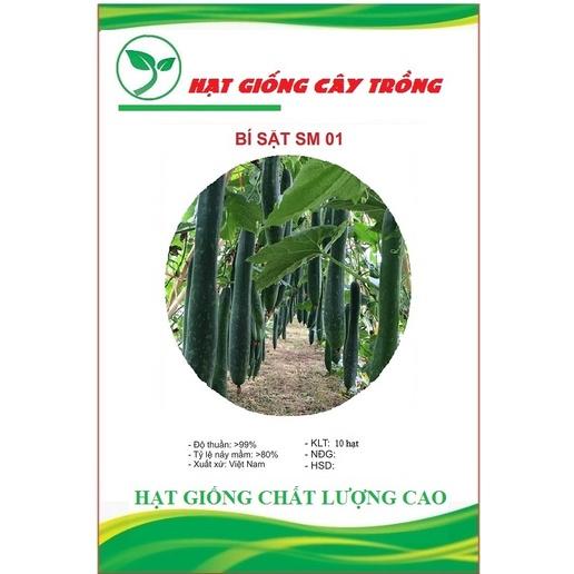 Hạt giống Bí đao xanh F1 CT14 - Gói 10 hạt