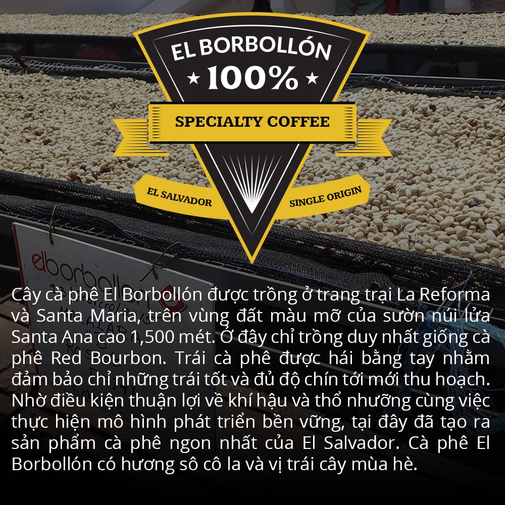 Specialty Coffee Nguyên Hạt El Salvador El Borbollón 1864 CAFÉ 120g