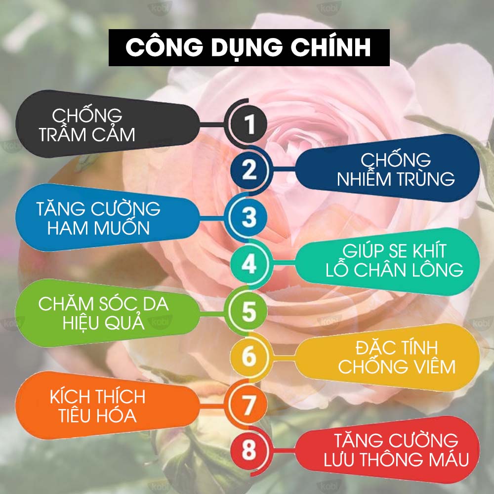 Tinh Dầu Hoa Hồng Kobi Rose Essential Oil Giúp Làm Trắng Da, Se Khít Lỗ Chân Lông - 5ml