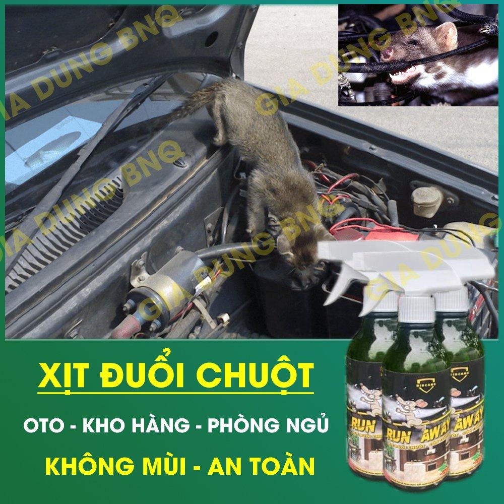 Xịt đuổi chuột Run Away Không mùi, Xua đuổi gián, côn trùng