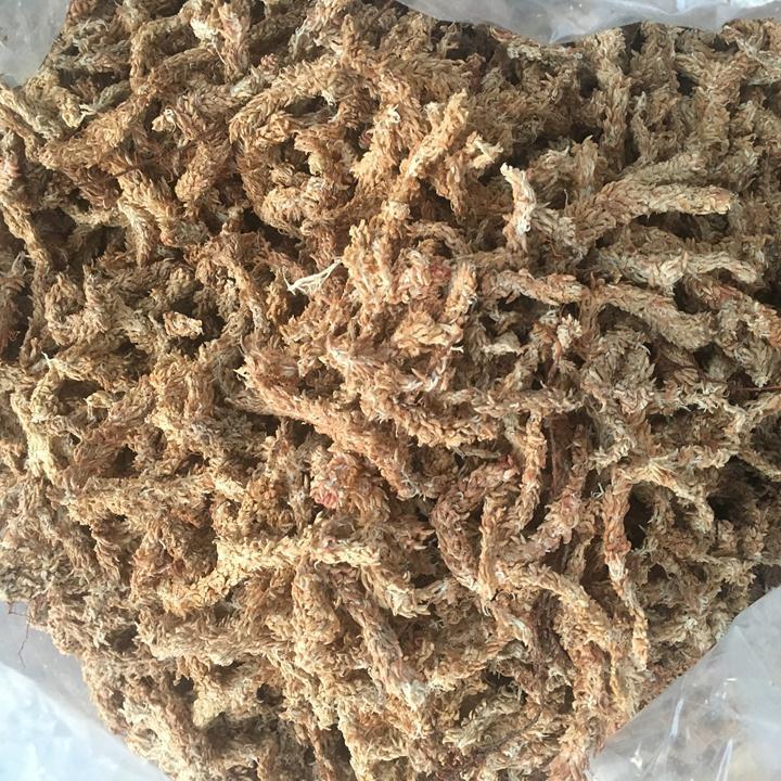 300g Rêu sâu Chile loại 1 nhập khẩu -