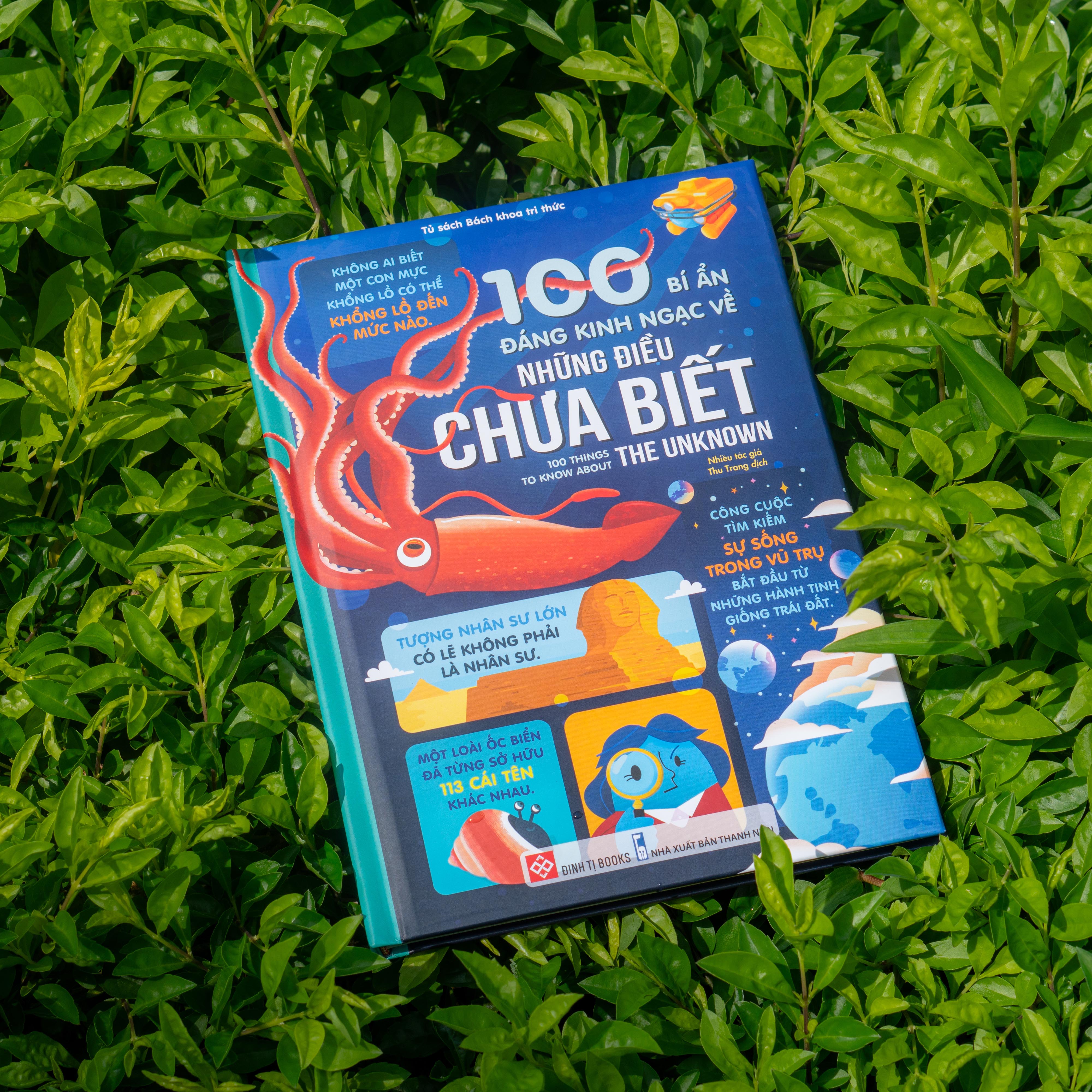 100 Bí Ẩn Đáng Kinh Ngạc Về Những Điều Chưa Biết - 100 Things To Know About The Unknown
