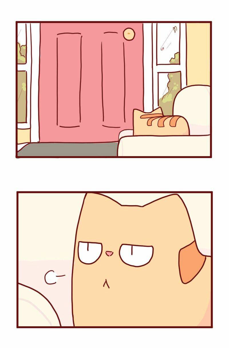 saphie: chú mèo một mắt chapter 15 8