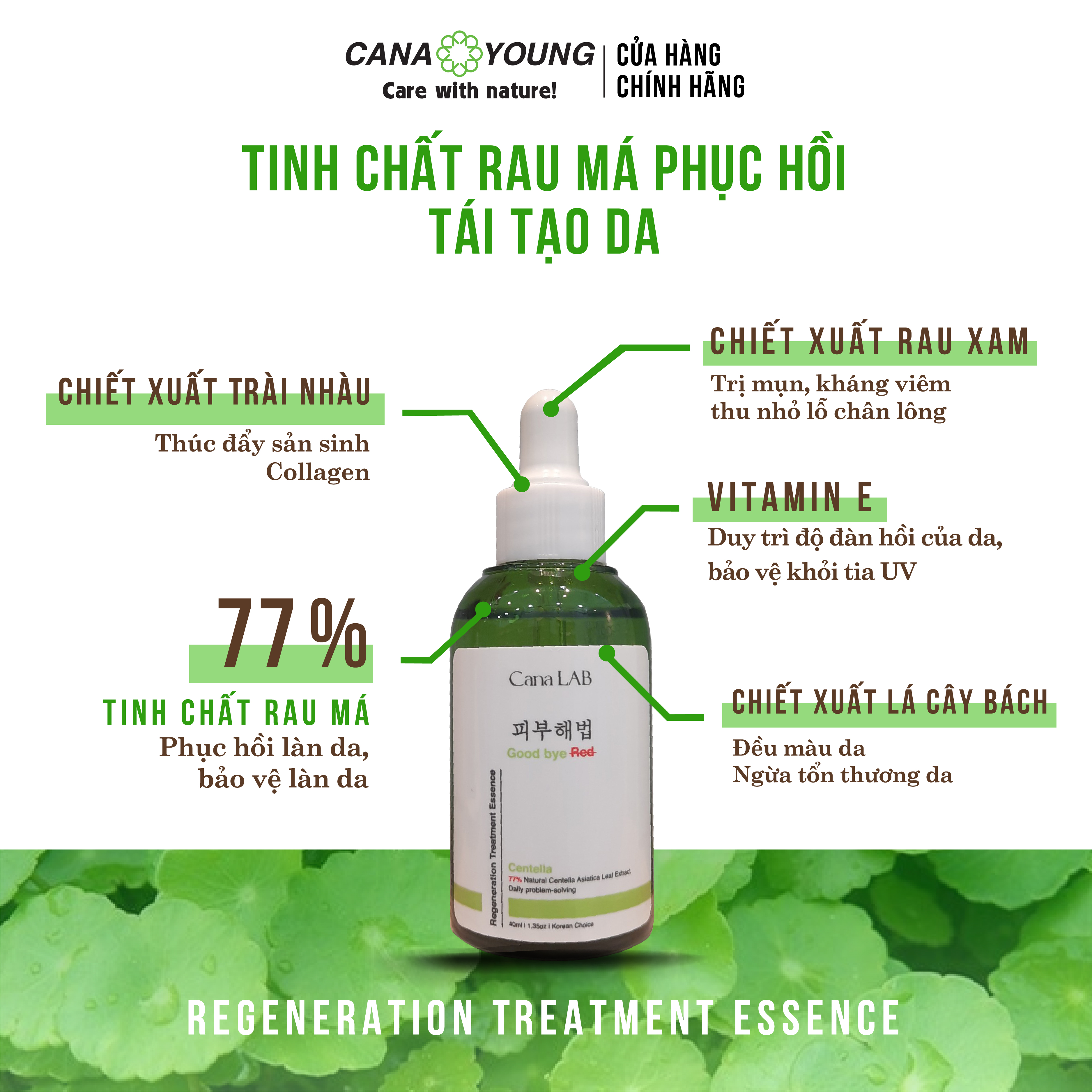 Tinh chất rau má làm dịu da, phục hồi và mờ vết thâm Cana LAB Centella Good bye RED Regeneration Treatment Essence