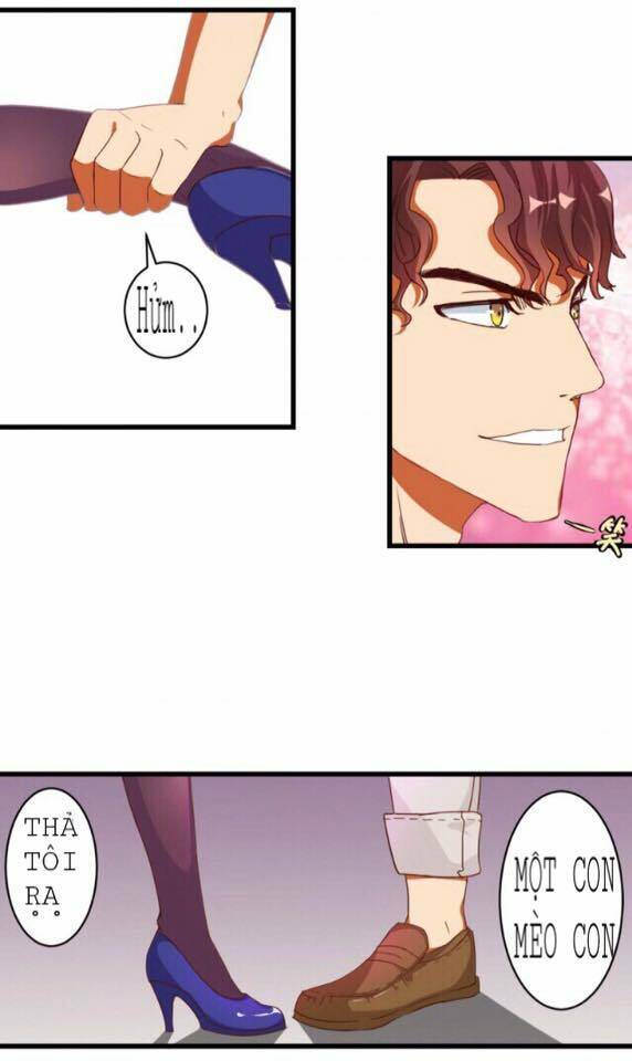 trên gối của chủ tịch ác ma chapter 1 22