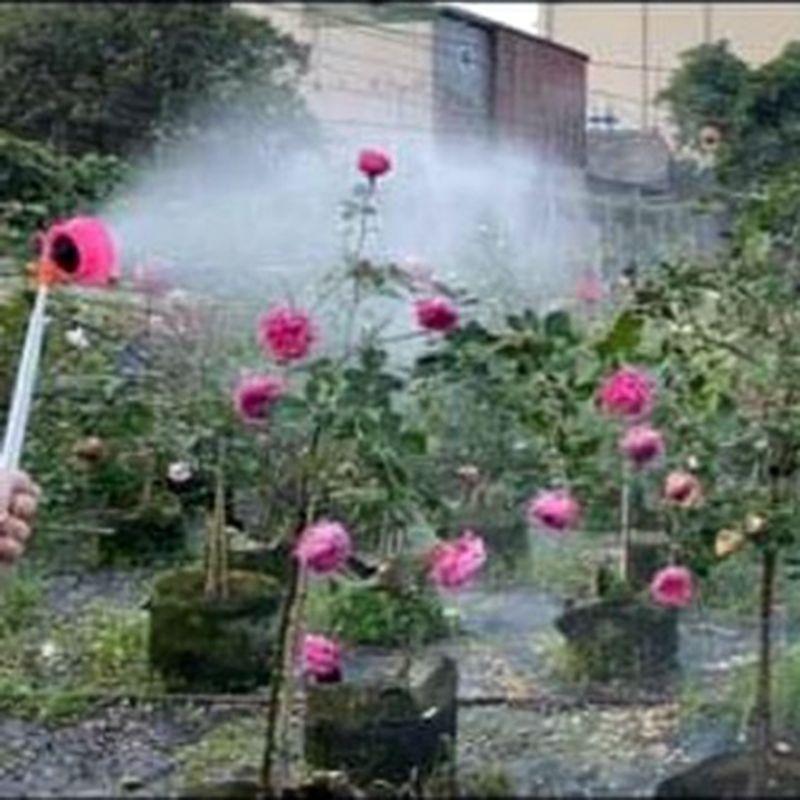 Bộ com bô 10m dây tay cầm cần khoá béc đấu vào vòi nước ra đình