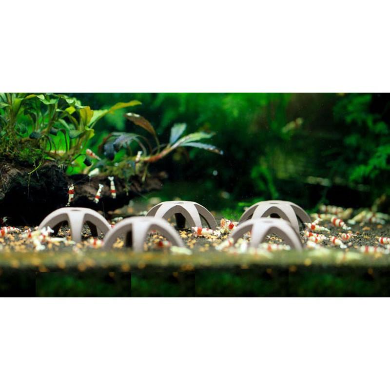 Đồ chơi tép sao 5 cánh